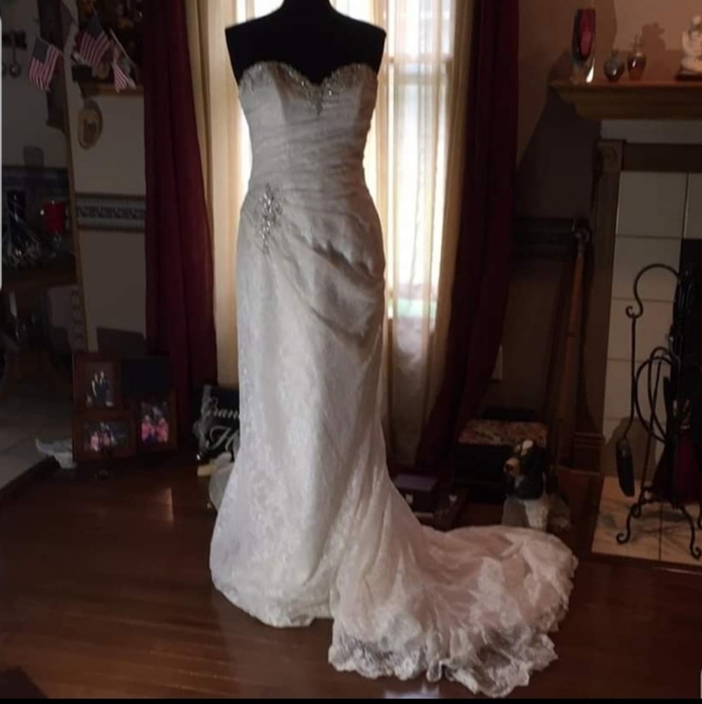 Sophia tolli wedding dress
